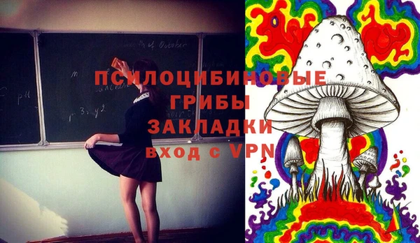 спиды Алзамай