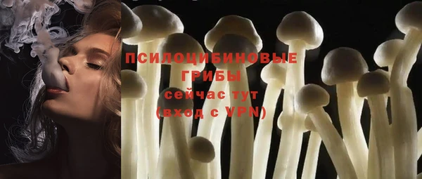 спиды Алзамай