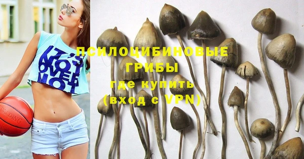 спиды Алзамай