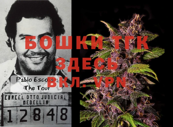 МДПВ Алексин