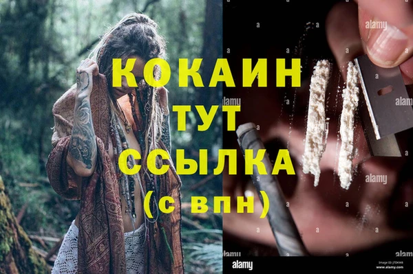 МДПВ Алексин